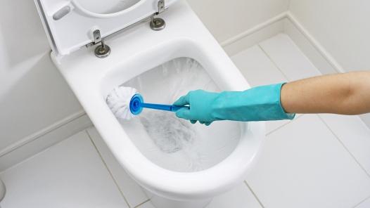 BATHROOM CLEANER CLEANING