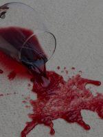 Common Cleaning Myths…