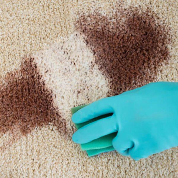 How To Remove Carpet Stains