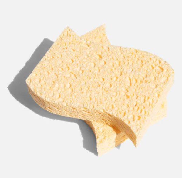 biodegradable kitchen sponges