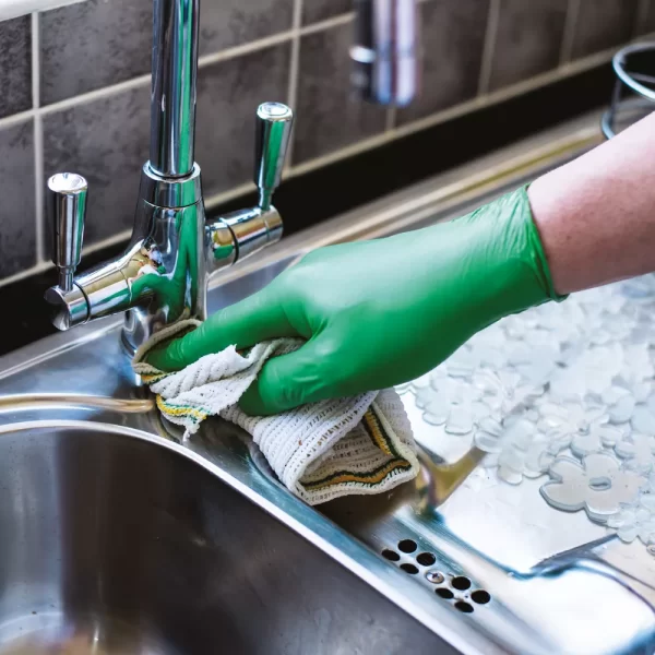 Biodegradable Gloves