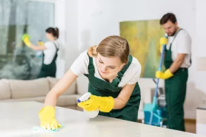 professional cleaners