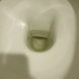 bubbleflush before toilet
