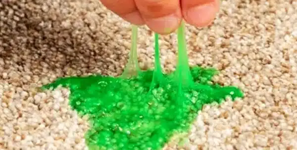 How To Get Slime Out Of Carpets…